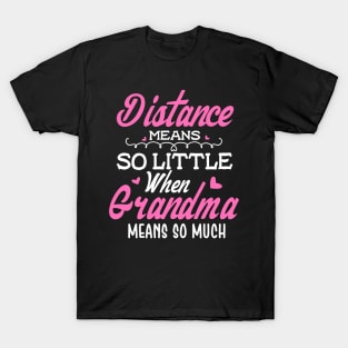 Grandma Means So Much T-Shirt